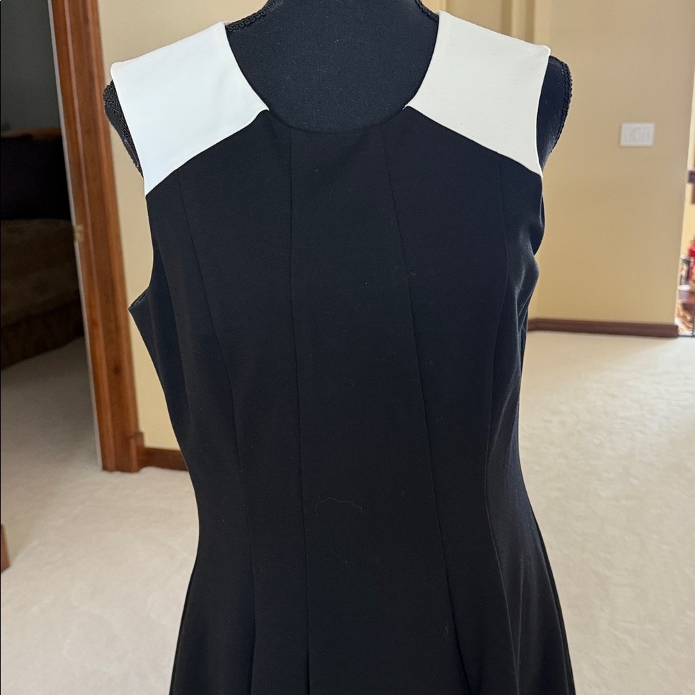 White House Black Market Fully Lined Sleeveless Dress - Picture 2 of 6